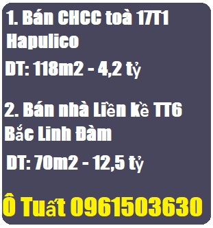 Chính chủ bán gấp CHCC Hapulico và Liền kề TT6 Bắc Linh Đàm, 0961503630