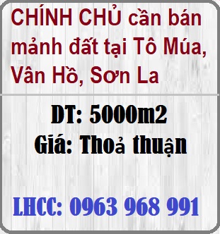 CHÍNH CHỦ cần bán mảnh đất tại Tô Múa, Vân Hồ, Sơn La - 0963968991