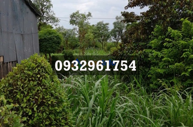 ⭐ban gap lo dat tiem nang mat tien binh nghi (go cong dong, tien giang) xa tan hoa, dong thap moi; 0932961754