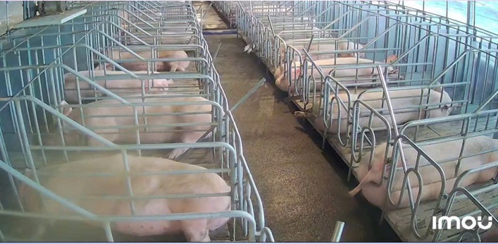 ⭐can ban gap vuon cafe - trai heo tai xa phuc tho lam ha, lam dong, 0865135913