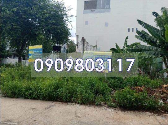 ⭐chinh chu ban lo goc 2 mt tai phuoc kien, nha be, tp.hcm vi tri dep, kinh doanh tot. 0909803117