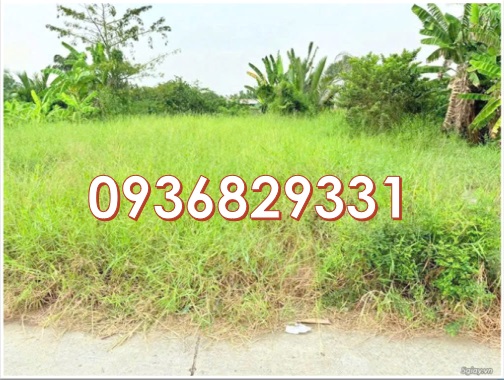 ⭐chinh chu ban nhanh lo dat dep gia tot mat duong tran van duc, xa binh lang, tan tru, long an cu, 0936829331