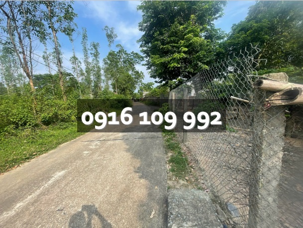 ⭐chinh chu ban o dat hon 1700m2 (da tach 2 bia) thuoc xa van xuan, phu tho - 0916109992