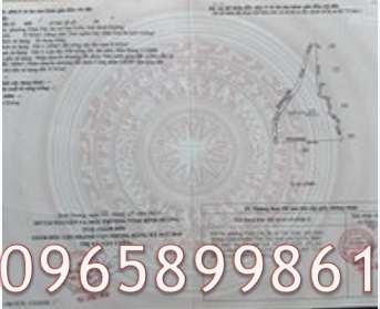 ⭐️ban 7971m2 dat san so duy nhat 2 mat tien vanh dai 4 va duong nhanh p.vinh tan (bd), tp.hcm. 0965899861