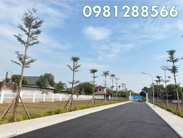 ⭐️chi con 18 lo dat gia f0 tai khu du an phu ninh - valley - so do tung lo tai xa kim anh, ha noi, 0981288566