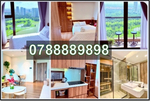 ⭐️chinh chu cho thue can ho chung cu gom 2pn, 2wc, 1 phong sauna - landmark 1 - ecopark hung yen - 0788889898