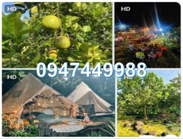 ⭐Bán 3000m2 đất ở Phường Bình Lộc (Long Khánh cũ), tỉnh Đồng Nai. 0947449988