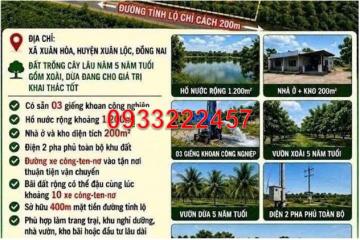 ⭐Cần bán gấp lô đất 4ha tại xã Xuân Hoà (Xuân Lộc), TP.Đồng Nai, chỉ 3.6 tỷ/ha - 0933222457