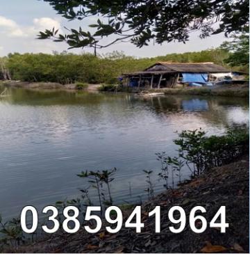 ⭐️Bán 61 mẫu đầm nuôi tôm tại xã Thạnh An (Cần Giờ), TP.HCM, 0385941964