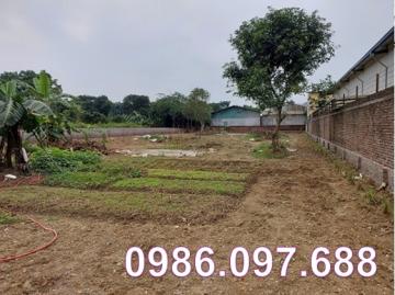 ⭐️Cho thuê 1.438m2 đất giá tốt đường rộng 6m tại xã Đông Xuân (Quốc Oai), Hà Nội, 0986.097.688