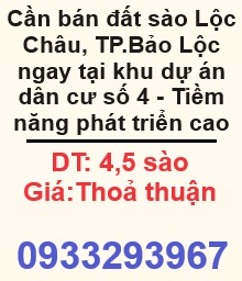 ⭐Cần bán đất sào Lộc Châu, TP.Bảo Lộc ngay tại khu dự án dân cư số 4 - Tiềm năng phát triển cao: 0933293967