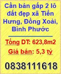 ⭐Cần bán gấp 2 lô đất đẹp xã Tiến Hưng, Đồng Xoài, Bình Phước; 5,3tỷ; 0838111618