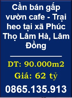 ⭐Cần bán gấp vườn cafe - Trại heo tại xã Phúc Thọ Lâm Hà, Lâm Đồng, 0865135913