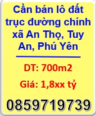 ⭐Cần bán lô đất trục đường chính xã An Thọ, Tuy An, Phú Yên; 1,8xx tỷ; 0859719739