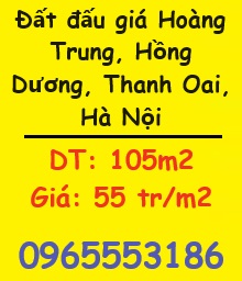 ⭐Đất đấu giá Hoàng Trung, Hồng Dương, Thanh Oai, Hà Nội; 55tr/m2; 0965553186
