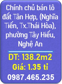 ⭐️Chính chủ bán lô đất Tân Hợp, (Nghĩa Tiến, Tx.Thái Hòa), phường Tây Hiếu, Nghệ An; 0987465235