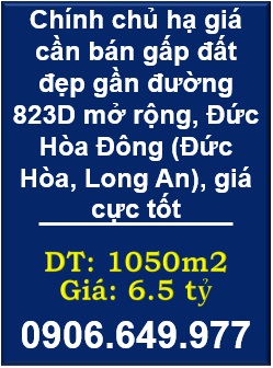 🌻Chính chủ hạ giá cần bán gấp đất đẹp gần đường 823D mở rộng, Đức Hòa Đông (Đức Hòa, Long An), giá cực tố