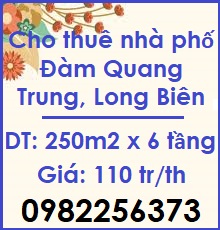 💥Cho thuê nhà phố Đàm Quang Trung, Long Biên, 110tr/th; 0982256373